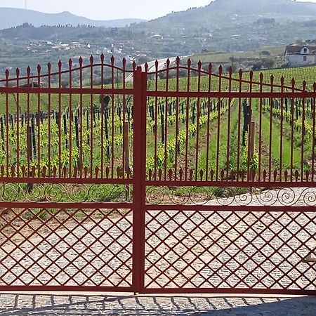 Quinta Do Passadico Villa Lamego Exterior photo