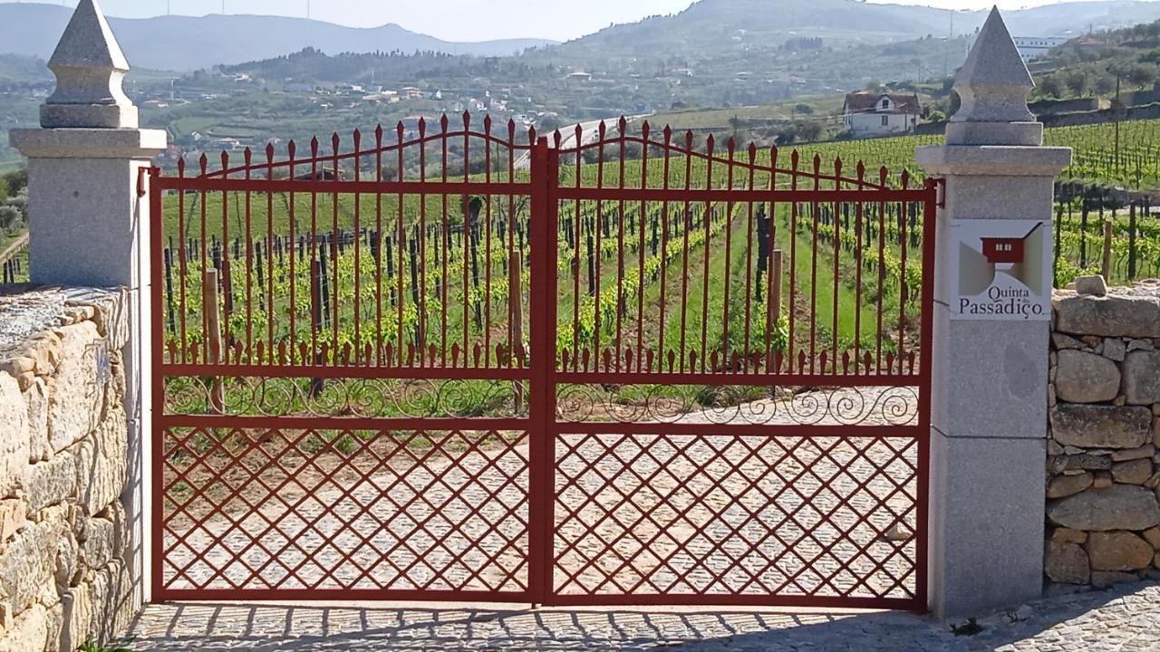 Quinta Do Passadico Villa Lamego Exterior photo